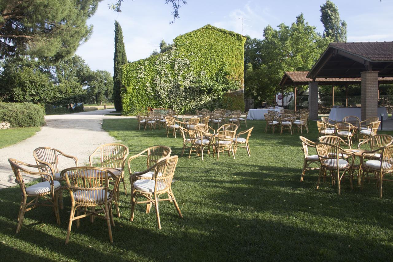 Agriturismo Pian Del Tevere 托尔吉亚诺 外观 照片